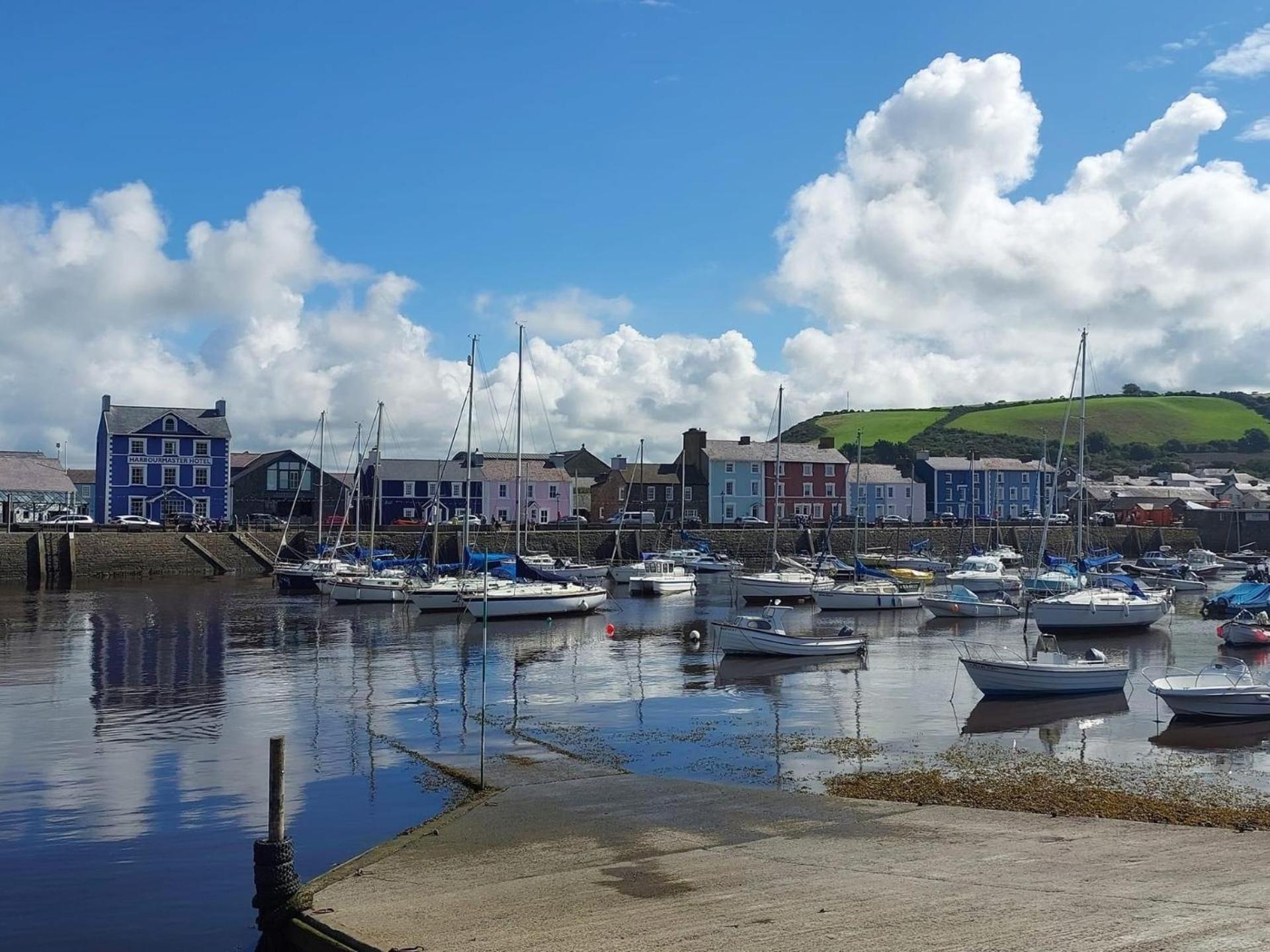 Nant Meigan, Georgian Townhouse In Centre Of Aberaeron, Dog Friendly Ngoại thất bức ảnh
